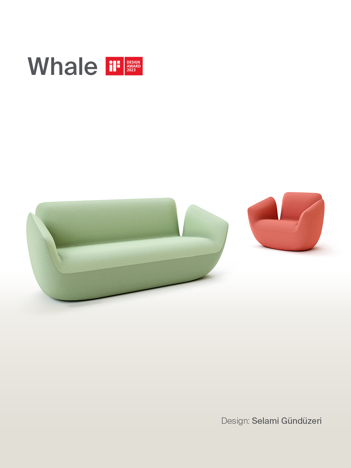 Slider - Whale