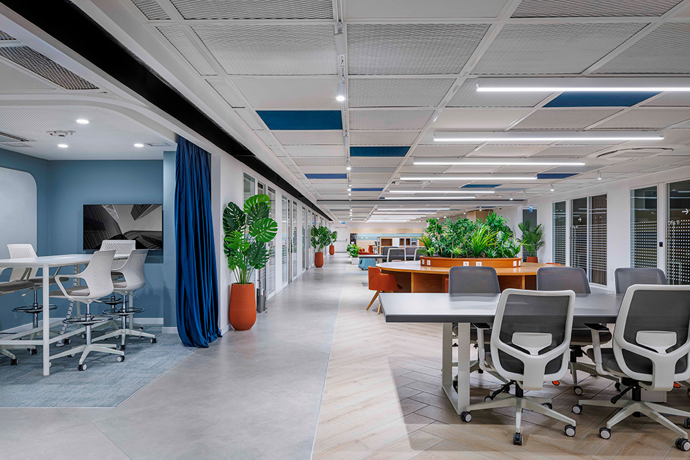 Bilişim Vadisi Vadistanbul